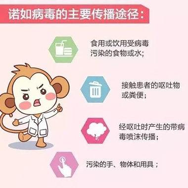 MH Tips丨爸爸妈妈要警惕！秋冬季节诺如病毒来袭！