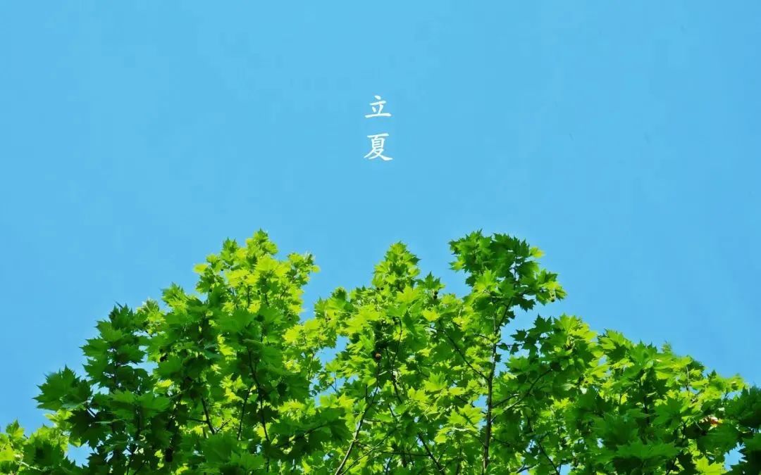 MHK节气丨今日立夏，送春归去