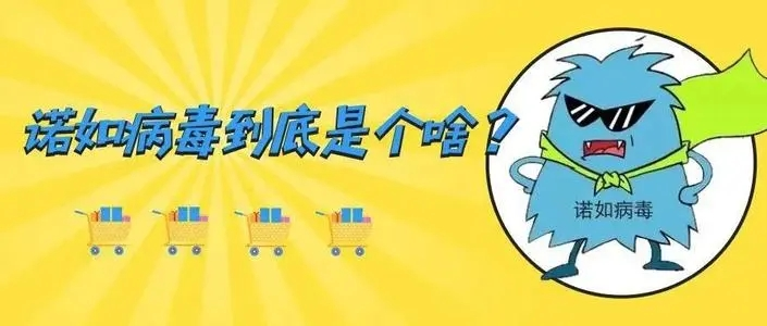 请查收秋冬网红疾病——诺如病毒防护指南