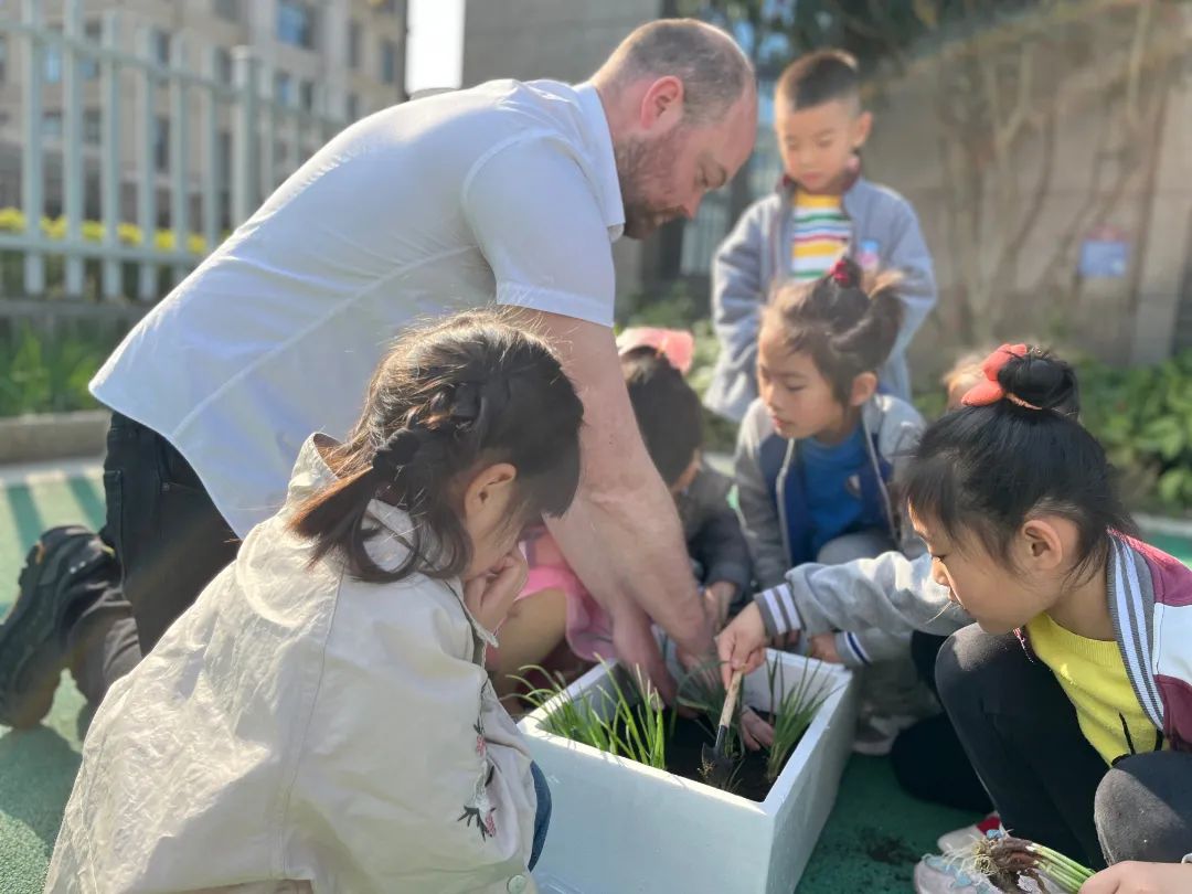 种一树美好 Planting the new wonderful life
