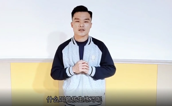 体育活动《仿生练习》