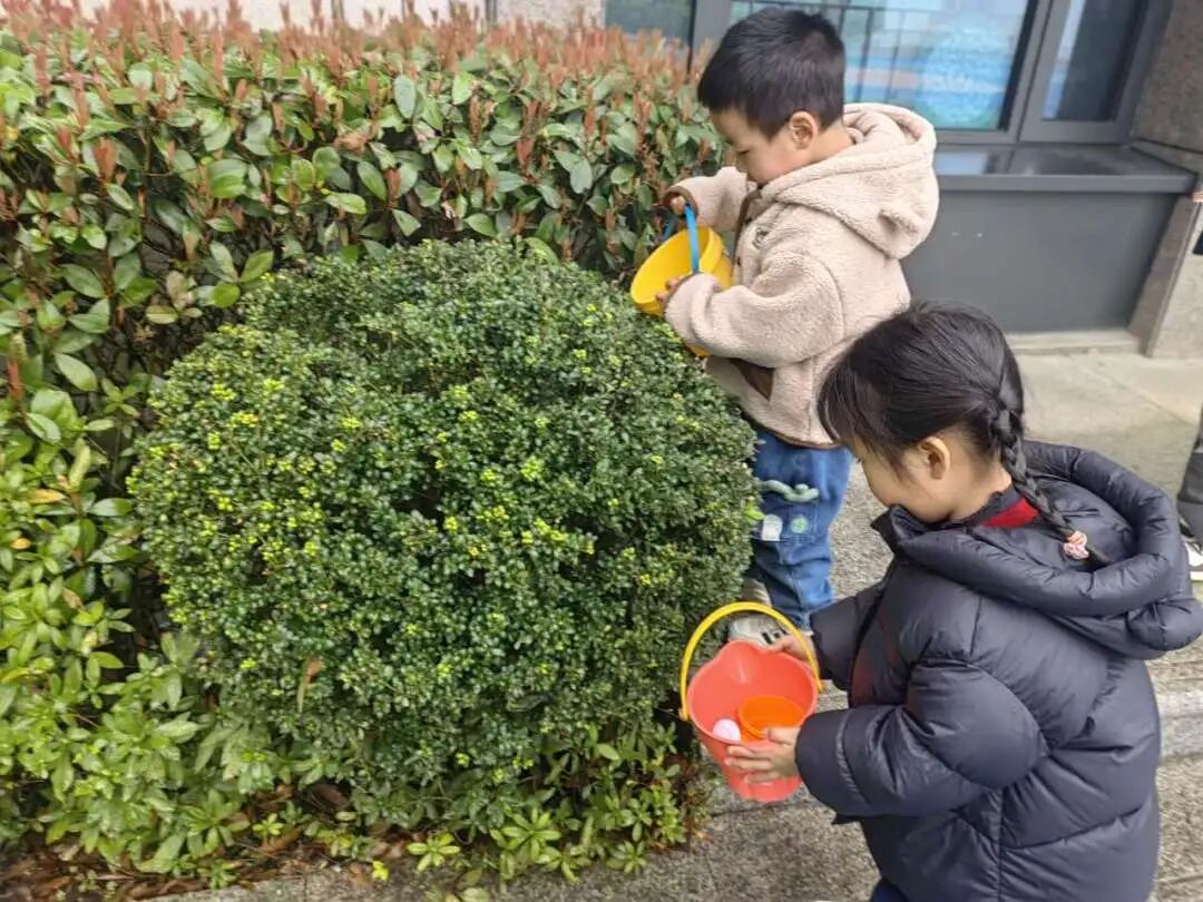 MHK植树节丨IB小公民的绿色成长日记